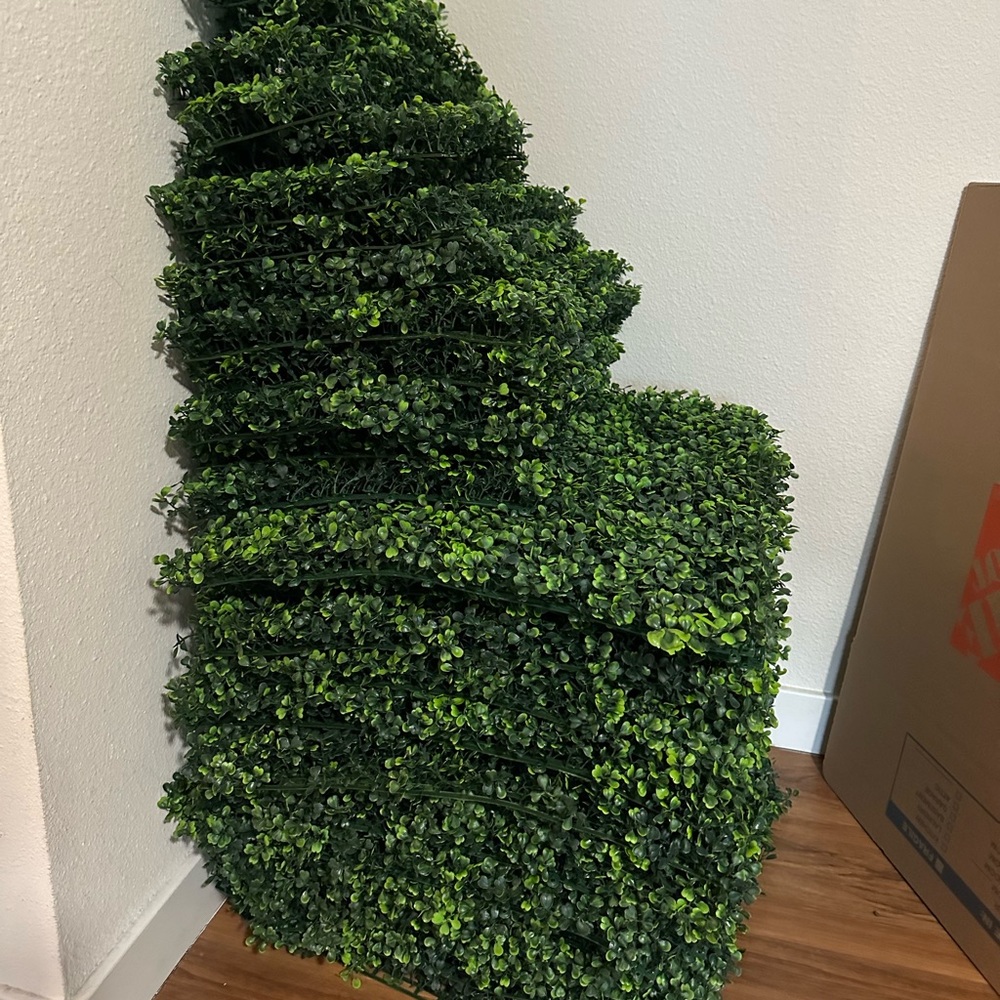 Grass wall - Picture 3 of 5